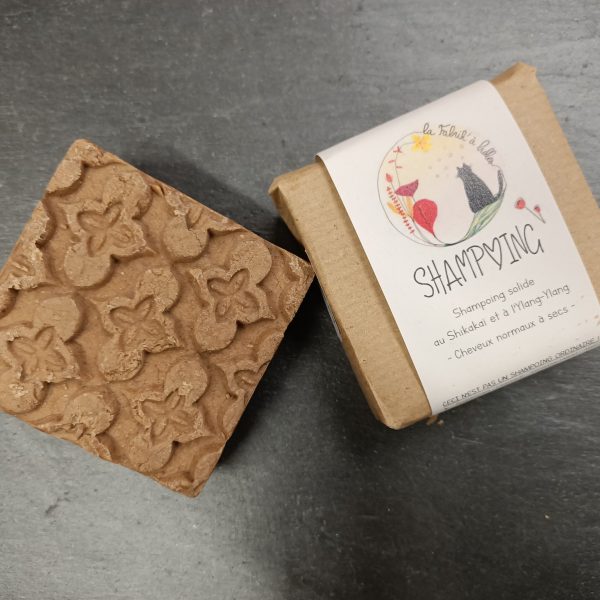 shampoing solide cheveux normaux à secs