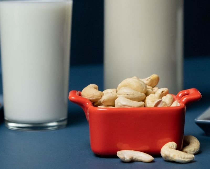 Lait de noix de cajou maison